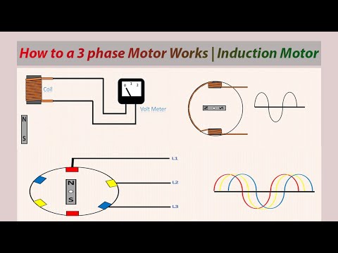 How to a 3 phase Motor Works | Induction Motor | Motor