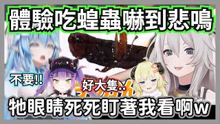 Holo成員第一次挑戰「蝗蟲罐頭」！菈米崩潰：牠眼睛盯著我到底要怎麼吃啊w【獅白牡丹/常闇永遠/角卷綿芽/雪花菈米】【hololive精華】