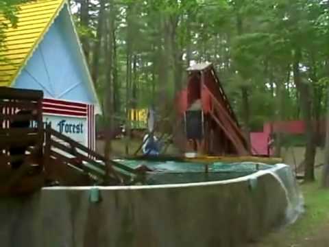 De reincarnatie van Edwin Jongejans