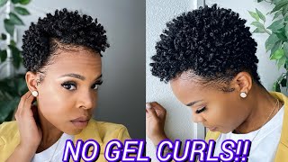 “New Cantu" for | Dry Natural Hair | No gel! Moisturized curls ( short natural hair )
