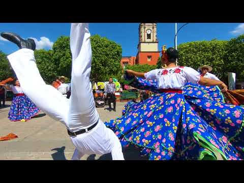 Los Arroyos de Jungapeo, - el baile de la iguana Video oficial