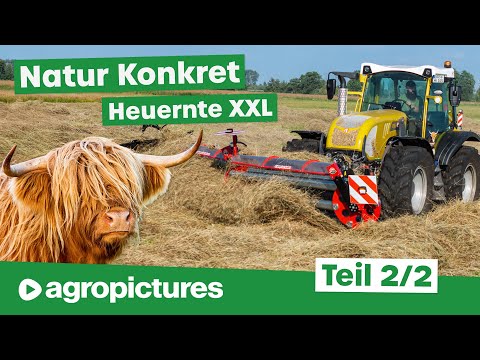 Heuernte XXL bei Natur Konkret in Brandenburg | Rigitrac SKH 150 mit BB Umwelttechnik Kammschwader