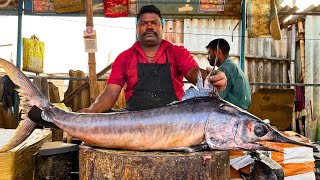 KASIMEDU 🔥 SPEED SELVAM | HUGE KOLA FISH CUTTING VIDEO | IN KASIMEDU | FF CUTTING 🔪