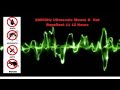 Ultrasonic Mouse And Rat Repellent 12 Hours 20000Hz No Ads