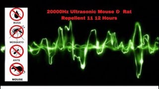 Ultrasonic Mouse and Rat Repellent 12 Hours | 20000Hz | No ads!