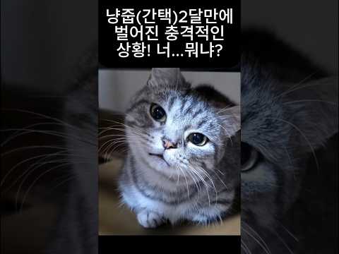 Image 10677