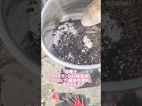 庭に自然な小川をうまく作り出すことができるかどうかは、あなた次第です。ちょっとした特典映像！  庭園