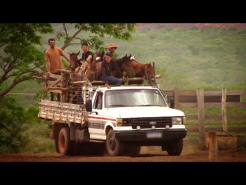 Bastidores da pega de boi no mato no parque Maria Creuza (bolão (