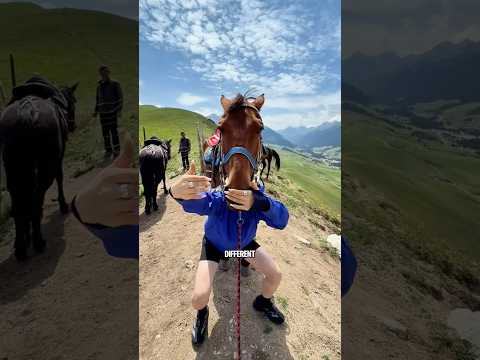 Animals look completely different from another angle #shorts #animals #cute #funny