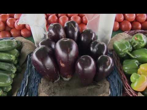 Newton Pop Up Produce Shop