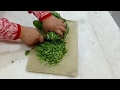Palak Katne Ka Asan Tarika How To Arrange How To Chop How To Cut And Wash The Spinach