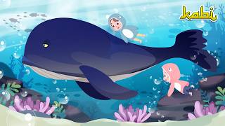 Download lagu Bertemu Ikan Besar! Kabi & Bica Meneladani Kisah Nabi Yunus Dari Kegelapan Laut | Kisah Teladan Nabi mp3