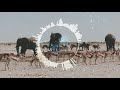 Martin Garrix Third Party Lions In The Wild Danny Cole Bootleg