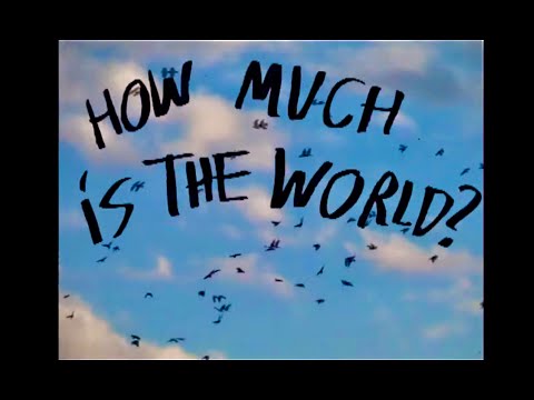 Molly Nilsson "How Much Is The World"