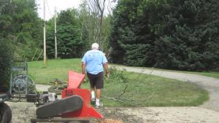 Chopping Down the (Dead) Cherry Tree
