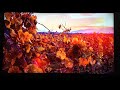 Adult Swim Fall 2017 Bumps
