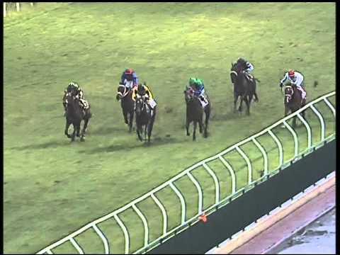 Galoppo 18/01/2015 - 3° corsa