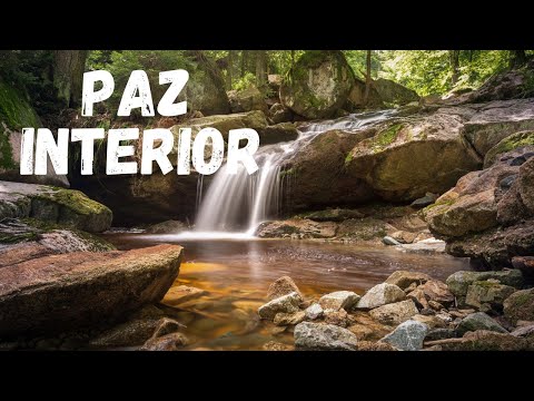 Flauta Indígena e Sons da Natureza - Acalmar e Relaxar a Mente | Som de Riacho e Pássaros