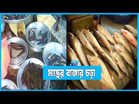 মাছের দাম বেড়েছে কেজিতে ২০ থেকে ৫০ টাকা