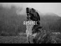 Robin Schulz Eines Tages