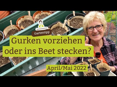 , title : 'Gurken vorziehen oder direkt ins Beet stecken? April / Mai 2022'