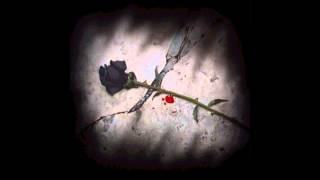 Tarja Turunen - Into The Sun (Legenda BR)