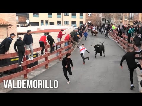 Valdemorillo 2025 Encierro y Capea