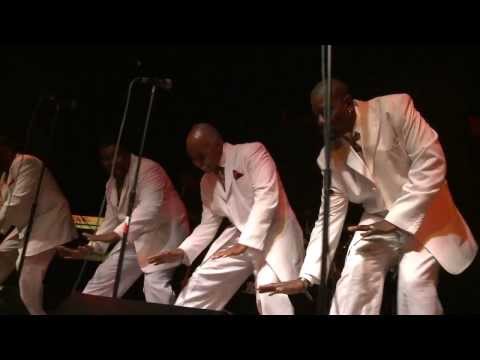 Spotlight On The Bay ....Best Intentions