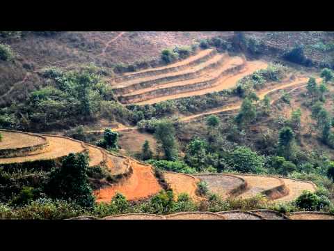 Travel Guide To: Vietnam, Cambodia, Laos and Thailand | Buffalo Tours