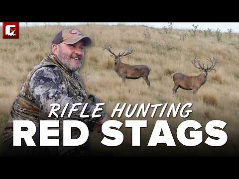 Hunting Red Stags in New Zealand! | The Choice