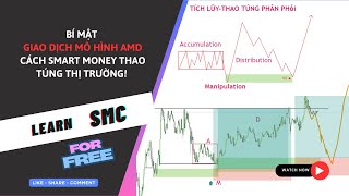 Bí Mật Giao Dịch Mô Hình AMD - Cách Smart Money Thao Túng Thị Trường