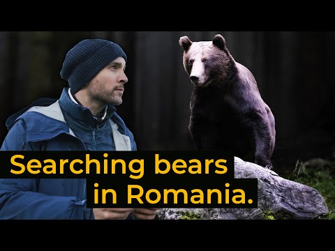 Discovering the Wildlife of the Carpathians | Jack Wolfskin