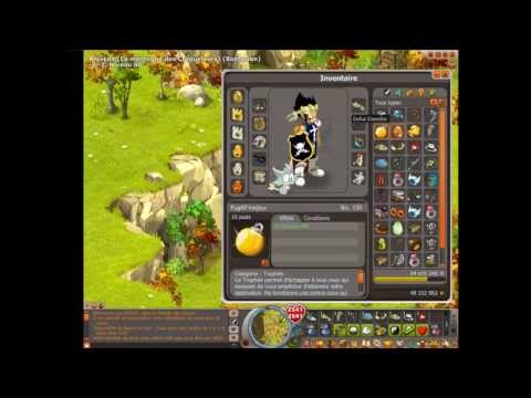 comment augmenter dommage neutre dofus