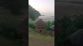 बांसी डुमरियागंज सिद्धार्थनगर राप्ती नदी बाढ़ #siddharthnagarnews #dumariyaganj #bansi #rapti #yt