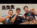 ゲテモノ!?カブトムシ食べちゃいました【昆虫食】