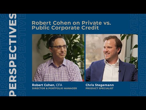 Robert Cohen on Private vs. Public Corporate Credit - YouTube