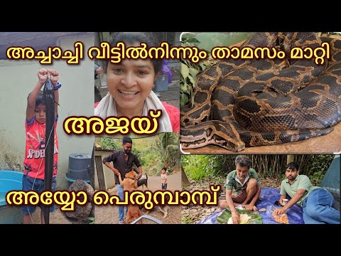 ദൈവമേ,എന്തൊക്കെയാ ഈ നടക്കുന്നത്???