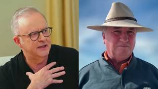 ‘A trap the PM shouldn’t fall into’: Barnaby Joyce on Albo's controversial ‘shag’ comment