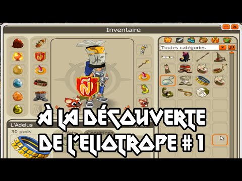 comment monter eliotrope dofus