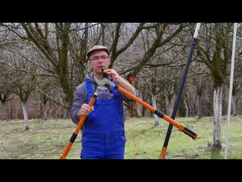 Svet baštovanstva ep.103 20.03.2020. - Makaze za visoke grane, orezivanje kajsije, ukrasno šiblje