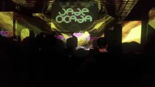 Jade Cicada at the Keep