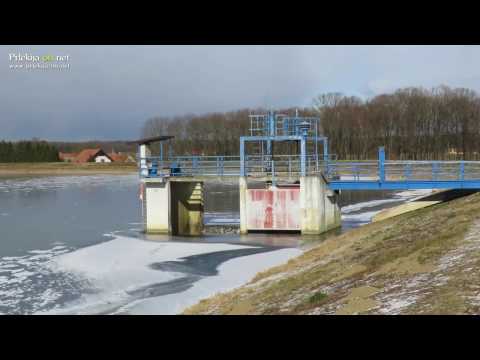 Zamrznjen ribnik na Podgradju in Gajševsko jezero