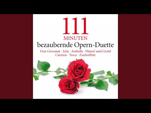 The Magic Flute, K. 620: "Bei Männern, welche Liebe fühlen"