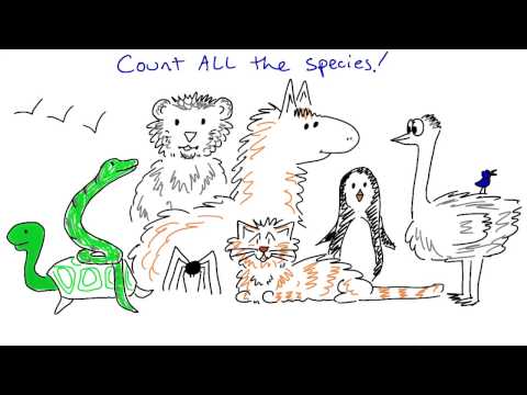 Count all the Species Intro to Relational Databases