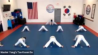 Live Class - Green Stripe - 6.12.20 @ 4:30pm