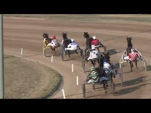 2022.03.26. 05. futam - ANDY YANKEE DÍJ