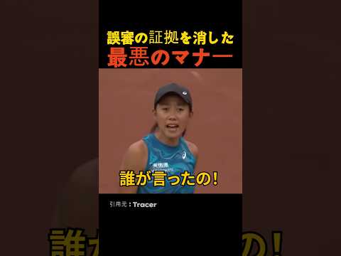 誤審の証拠を消した最悪のマナー