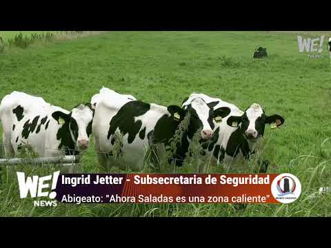 Ingrid Jetter - Subsecretaria de seguridad  -   Abigeato: "Ahora Saladas en una zona caliente"