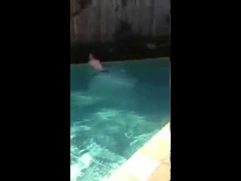 Drunken irish twat misses pool