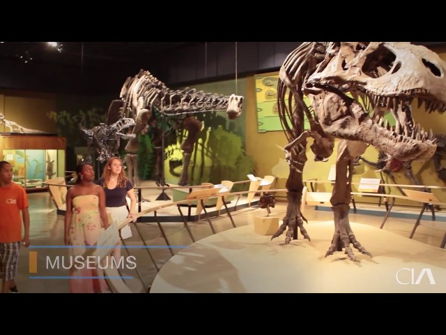 Cleveland Institute of Art video #1